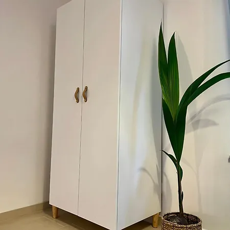 Stilvolles, Modernes Mit Sonnen-balkon Baden-Baden