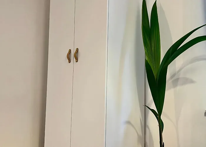 Stilvolles, Modernes Mit Sonnen-balkon Baden-Baden